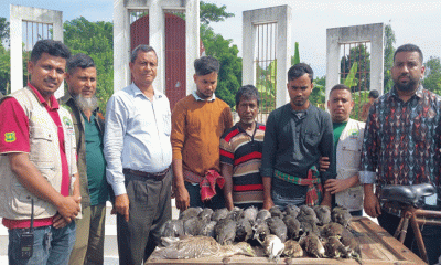 কোটালীপাড়ায় তিন পাখি শিকারীকে সাজা