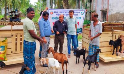 কাউখালীতে নিবন্ধিত জেলেদের মাঝে ছাগল, ছাগলের ঘর ও ওষুধ বিতরণ