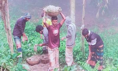 নান্দাইলে স্বেচ্ছাশ্রমে বেড়িবাঁধের গর্ত ভরাট করলো মাদ্রাসার ছাত্র শিক্ষক