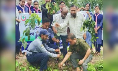 মাধবপুরে স্কাউট গ্রুপের পাঁচ হাজার ফলদ বৃক্ষের চারা রোপণ কর্মসূচি