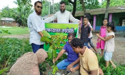 যশোরে সজাগের ফলদ গাছের চারা বিতরণ ও বৃক্ষরোপণ কর্মসূচি পালন