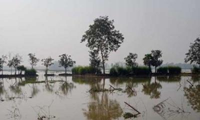 নালিতাবাড়ীতে প্রায় সোয়া দুই লক্ষ টাকার মাছ চুরির অভিযোগ