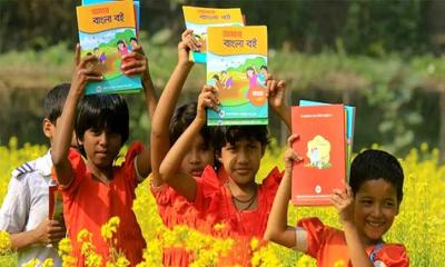 সকল শ্রেণিতে পহেলা জানুয়ারি নতুন বই দেয়া সম্ভব না: ড. সালেহউদ্দিন