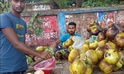 ফরিদপুরে গরমে বেড়েছে তাল শাঁসের চহিদা