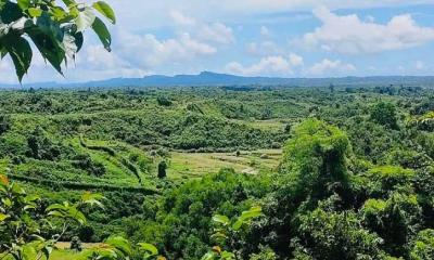 রুমায় বন্দুকযুদ্ধে কেএনএফের ৩ সদস্য নিহত