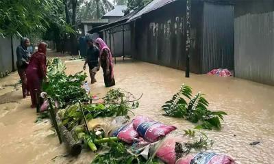 শেরপুরে বন্যায় তিনজনের মৃত্যু