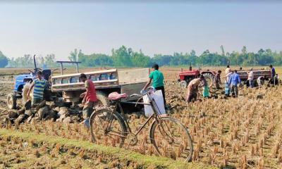 ফসলি জমির উর্বর মাটি কেটে ইটভাটায় নেয়ার মহোৎসব