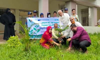 পেকুয়ায় ধরা‍‍`র মাসব্যাপী বৃক্ষ রোপন কর্মসূচি উদ্বোধন