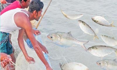 সীমানায় ঢুকে মাছ ধরছেন ভারতের জেলেরা!