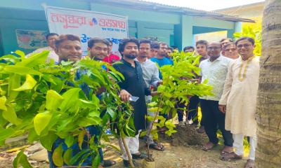 জলবায়ু পরিবর্তন ও গ্রিন হাউস গ্যাসের প্রভাব রুখতে বৃক্ষরোপণের বিকল্প নেই