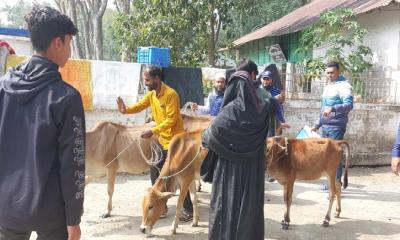 বাউফলে ঋণের দায়ে পালিয়ে বেড়াচ্ছে কালামের পরিবার