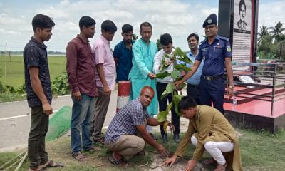 ঝিনাইগাতীতে বৃক্ষমেলা উপলক্ষে শহীদ নাজমুল স্মৃতি চত্ত্বরে বৃক্ষরোপণ