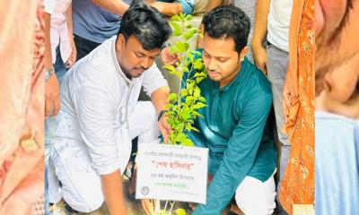 শেখ হাসিনার জন্মদিনে সোহরাওয়ার্দী কলেজ ছাত্রলীগের বৃক্ষরোপণ