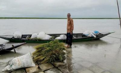 সিকিমের প্রভাবে বিপদজনক হয়ে ওঠছে তিস্তা!