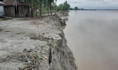 তিস্তায় বেড়েছে ভাঙ্গন, হতাশায় নদীপারের মানুষ