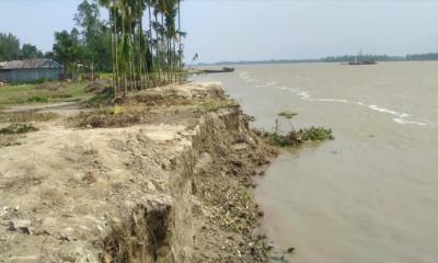 কুড়িগ্রামে ব্রহ্মপুত্র ও ধরলা নদীর ভাঙ্গনে দিশেহারা তীরবর্তী এলাকার মানুষ