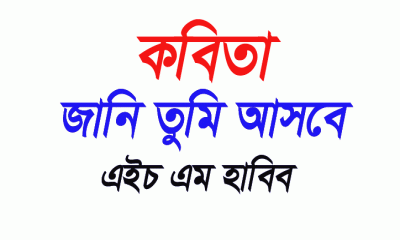 জানি তুমি আসবে