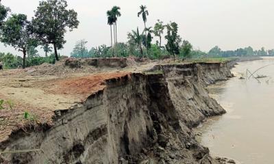 যমুনার ভাঙ্গনে ছোট হয়ে আসছে মাদারগঞ্জের মানচিত্র