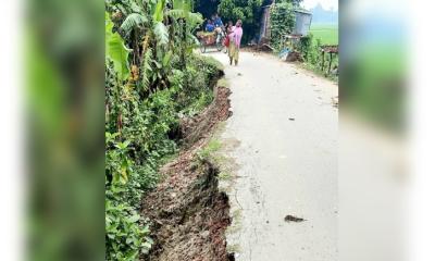 উল্লাপাড়ায় এলজিইডির পাকা সড়কে ভাঙ্গন