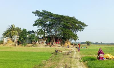 ফরিদপুরে একটি বাড়ি একটি গ্রাম