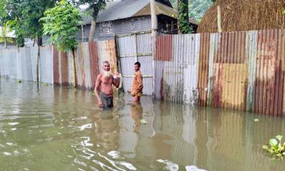 যমুনার পানি বেড়ে জামালপুরে ৩ লাখ মানুষ পানিবন্দি