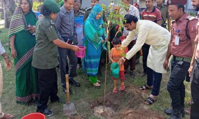 বালিয়াডাঙ্গীতে বৃক্ষরোপন কর্মসূচি