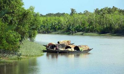 সুন্দরবনে আবারও জলদস্যুর উৎপাত