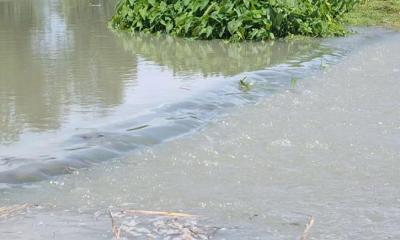 বরগুনায় জোয়ারের পানি বাড়ায় প্লাবিত হচ্ছে নিম্নাঞ্চল