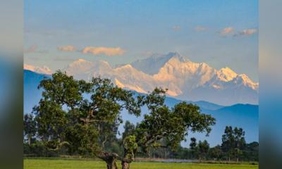 পঞ্চগড়ে পর্যটকদের টানছে কাঞ্চনজঙ্ঘা