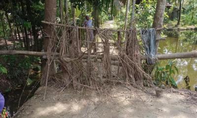 আমতলীতে চলাচলের রাস্তায় বড়ই কাটা দিয়ে বেড়া