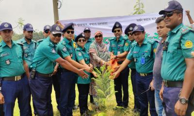 বিশ্ব পরিবেশ দিবসে ডেমরায় ট্রাফিকের বৃক্ষরোপণ