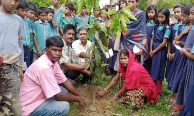 গোদাগাড়ীতে বিশ্ব পরিবেশ দিবস পালিত