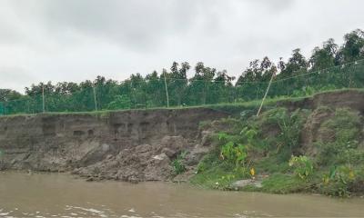 সুন্দরগঞ্জে তিস্তার ভাঙনে বিলিন ফসলি জমি