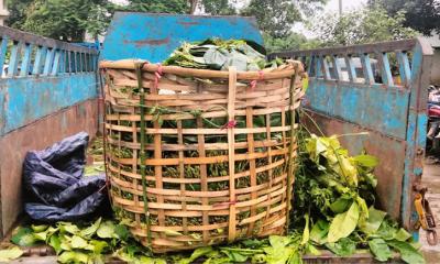 পানবোঝাই পিকআপ থেকে ইয়াবা উদ্ধার, আটক চালক