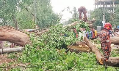 কালবৈশাখী ঝড়ে বিদ্যুৎহীন দিনাজপুরের পুরো শহর