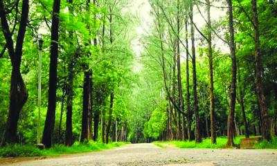 বোটানিক্যাল গার্ডেনে প্রবেশ ফি ৭০ টাকা কমলো