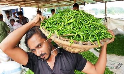 কমার পরের দিনই বাড়লো কাঁচা মরিচের দাম