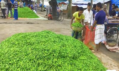 কাঁচা মরিচের কেজি ৫০০ টাকা, আমদানি শুরু