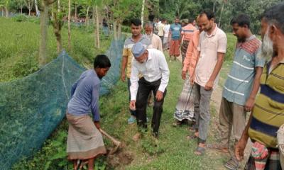 নিয়ামতপুরে যুবদলের প্রতিষ্ঠা বার্ষিকী উপলক্ষে বৃক্ষ রোপন কর্মসূচী