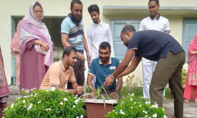 সোনাতলা পিটিআই এ বৃক্ষরোপণ কর্মসূচি পালন