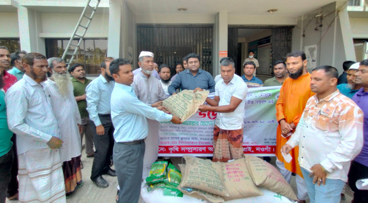 আত্রাইয়ে বিনামূল্যে প্রণোদনার সার-বীজ বিতরণ