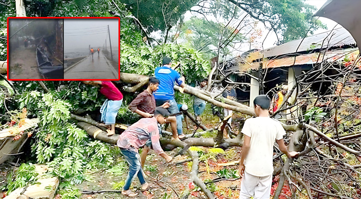 সেন্টমার্টিনে গাছচাপায় ২ জনের মৃত্যু