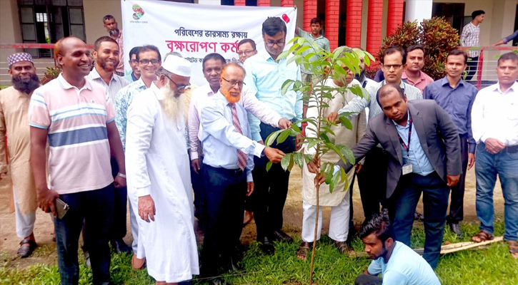 কটিয়াদীতে পরিবেশের ভারসাম্য রক্ষায় ইউসিবির বৃক্ষরোপণ কর্মসূচি