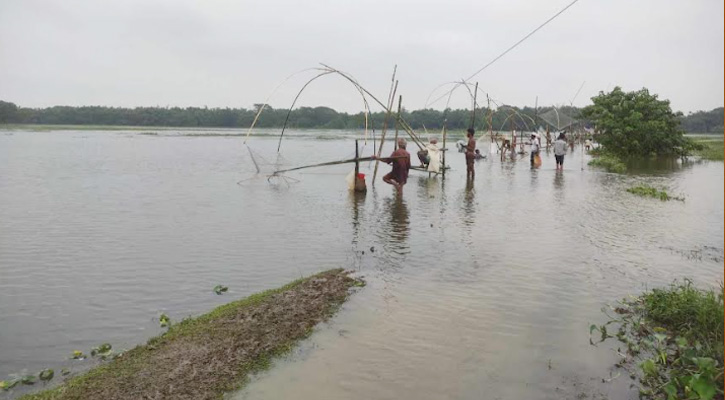 গৌরীপুরে অতি বৃষ্টিতে ভেসে গেছে ২৭৪ কোটি টকার মাছ