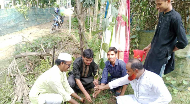 নালিতাবাড়ীতে বৃক্ষরোপন কর্মসূচি অনুষ্ঠিত