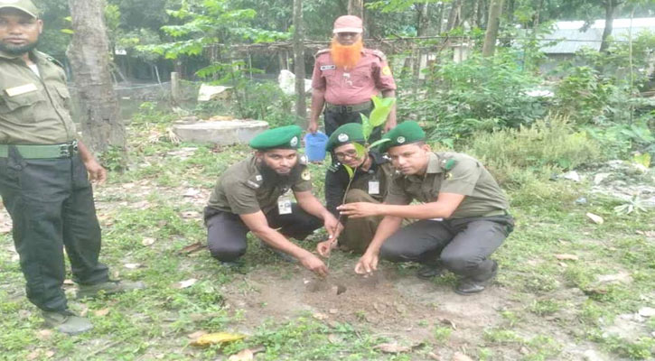 ভুরুঙ্গামারীতে আনসার ভিডিপির উদ্যোগে বৃক্ষরোপণ ২০২৪ পালিত