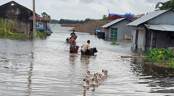 লক্ষ্মীপুরে বেড়েই চলছে বন্যার পানি