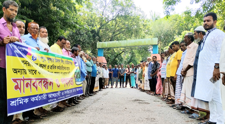 রংপুর চিনিকল চালুর দাবিতে মহিমাগঞ্জে শ্রমিক-কর্মচারীদের মানববন্ধন, বিক্ষোভ