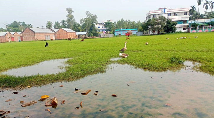 বৃষ্টি হলেই বিদ্যালয় মাঠে জলাবদ্ধতা, চরম ভোগান্তিতে শিক্ষার্থীসহ এলাকাবাসী