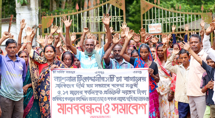 প্রাপ্য মজুরী না পেলে কাজে যোগদান করবে না এনটিসির চা শ্রমিকরা